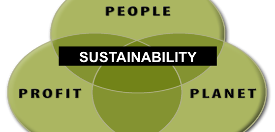 The Sustainability Challenge and How to Get Buy In